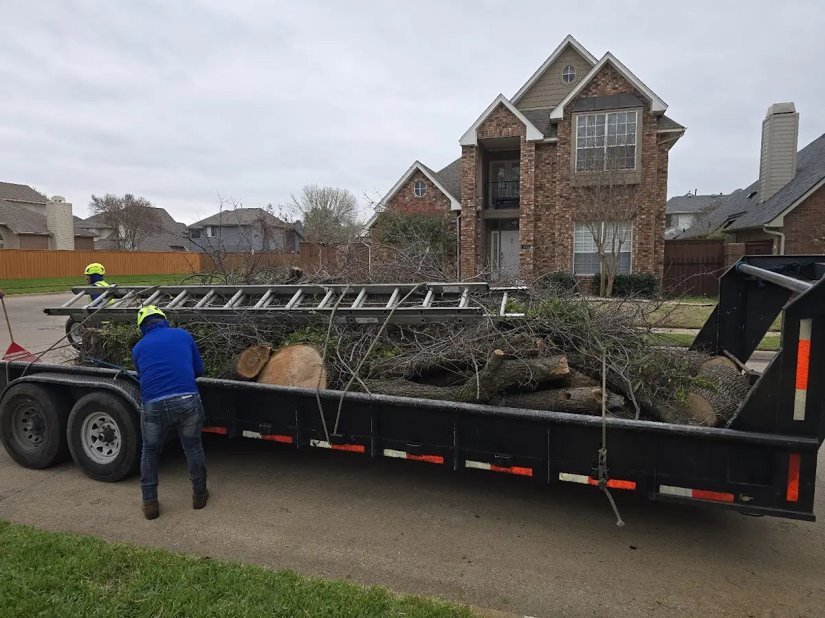 Expert Tree Fertilization with proper safety equipment in Willows